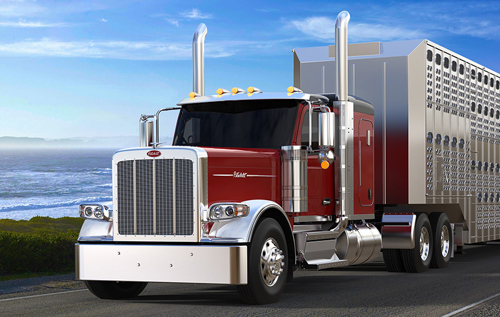 Peterbilt-589